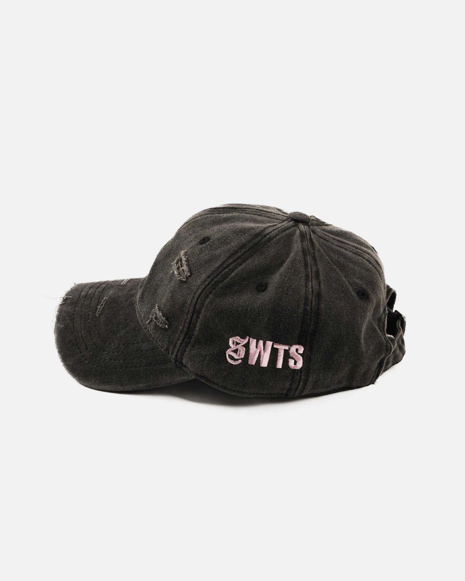 SWTS Vintage Cap